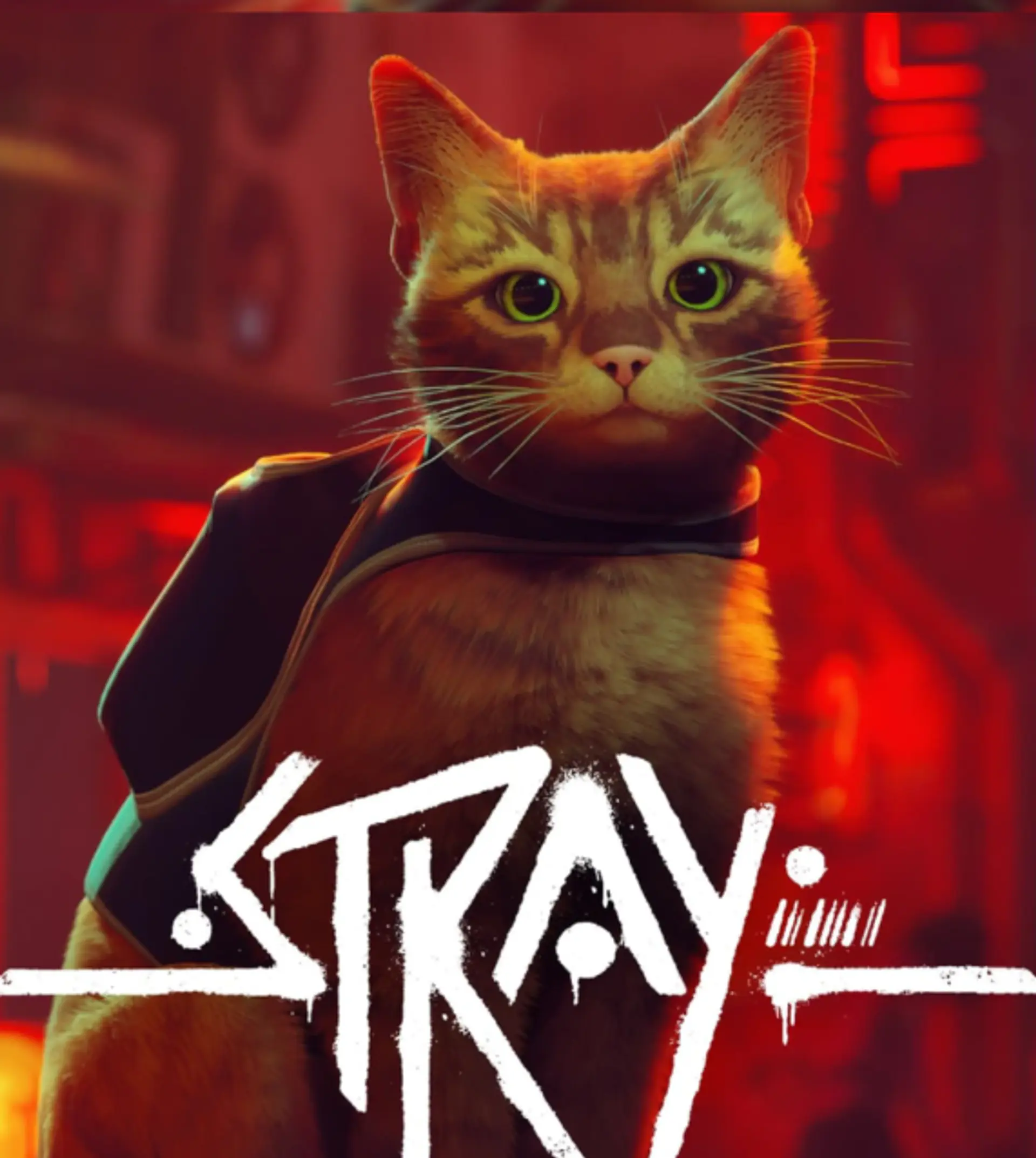 Stray Xbox One / Xbox Series S - X 1