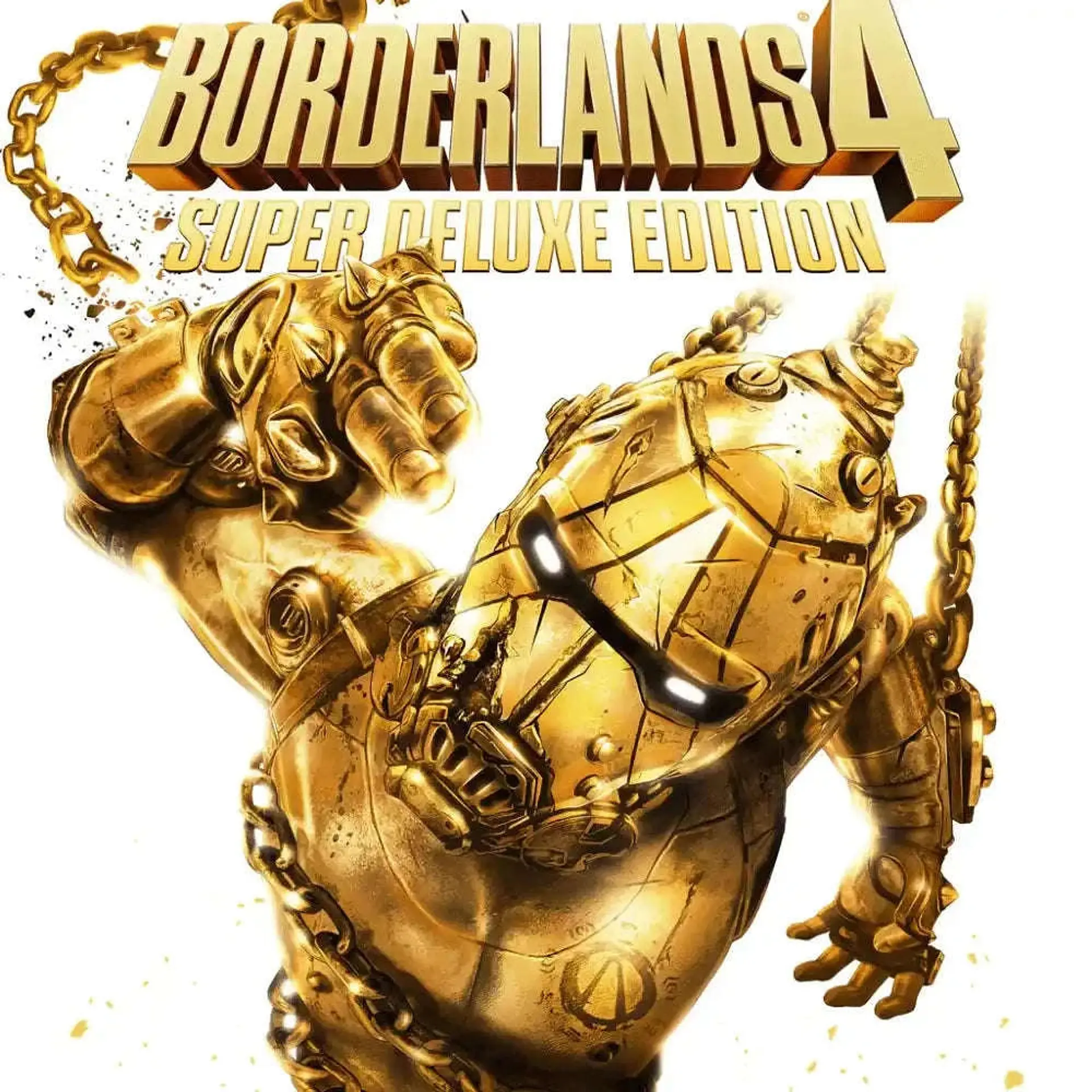 BORDELANDS 4 STEAM 1