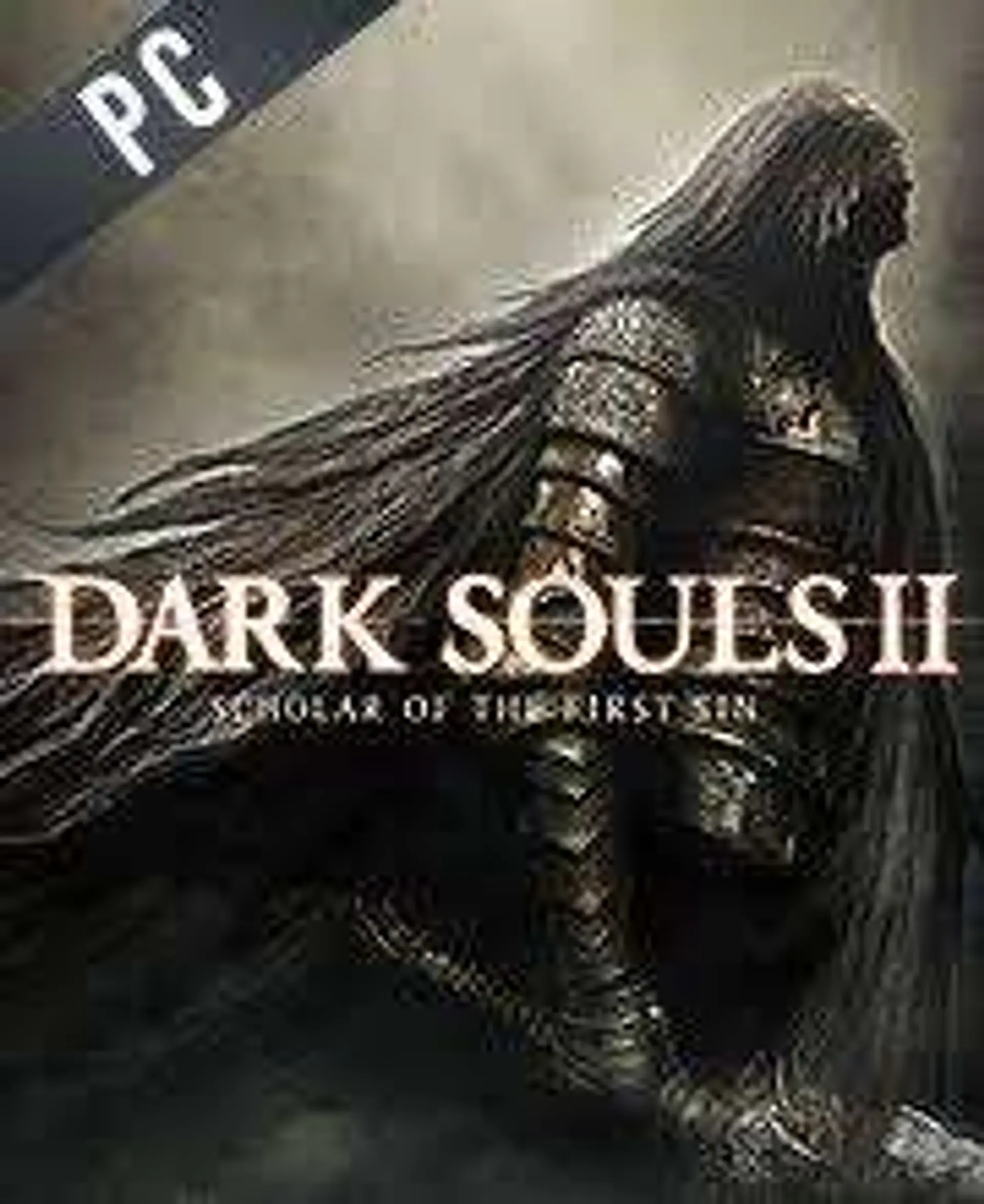 dark souls 2 steam 1