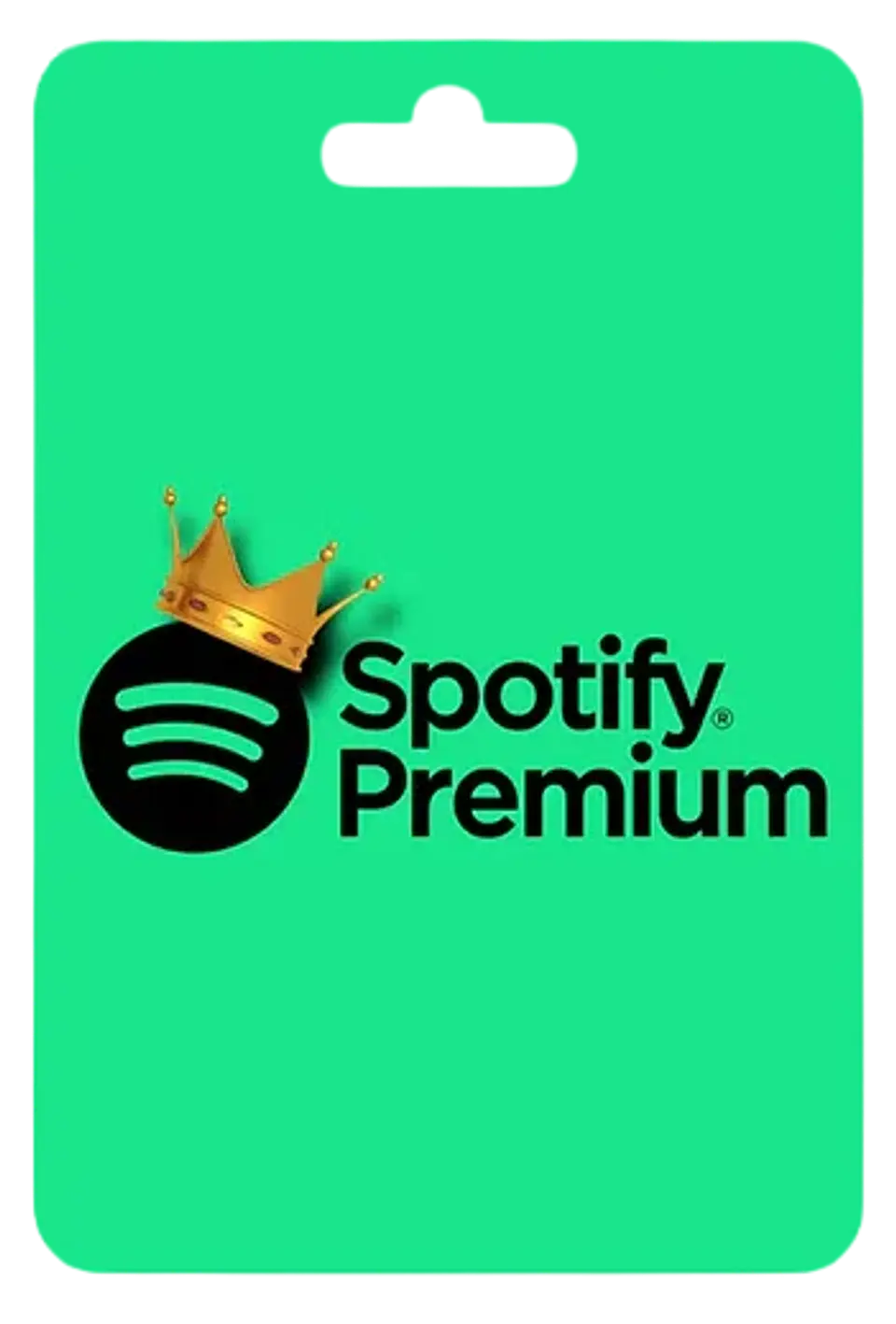 SPOTIFY PREMIUM 1