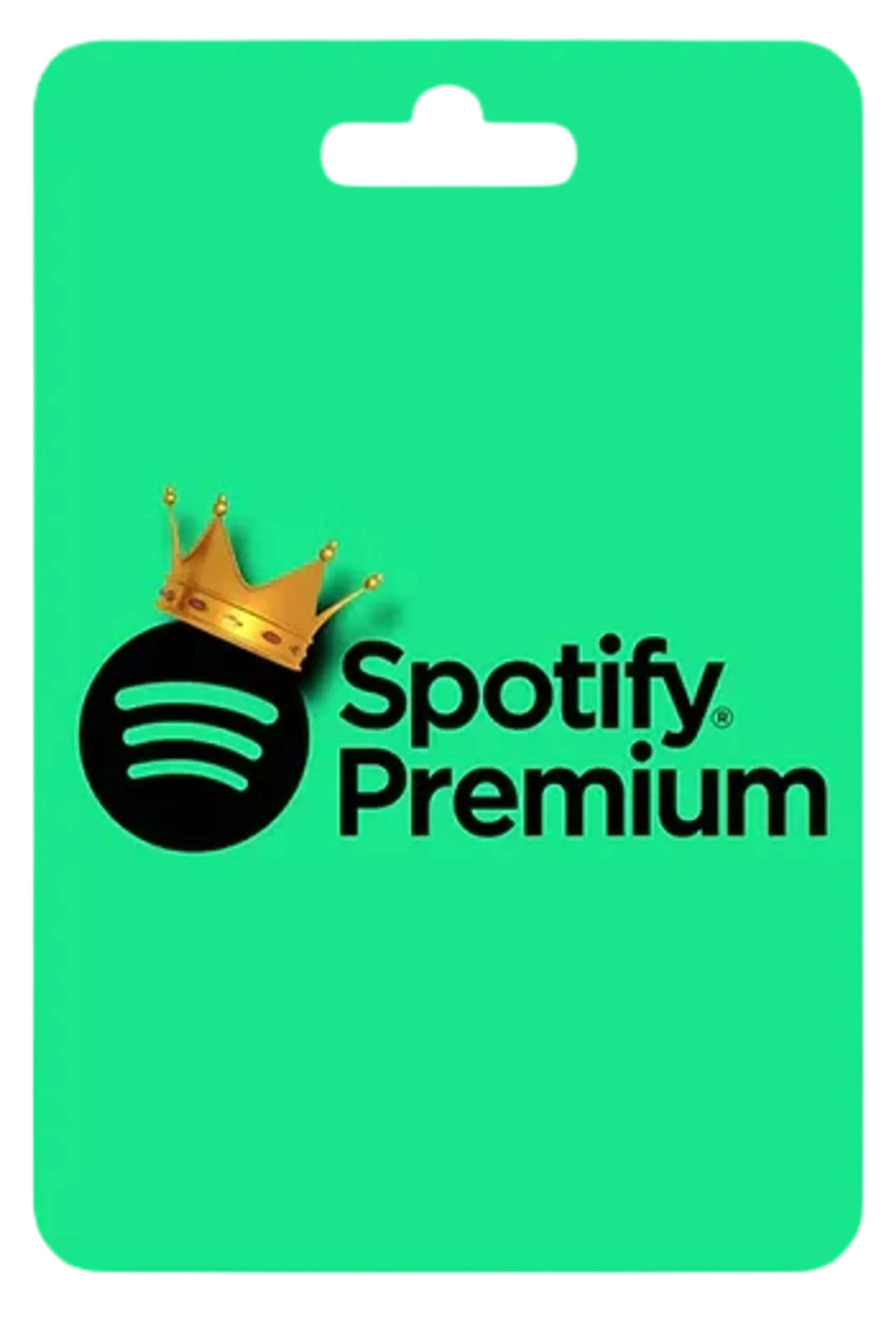 SPOTIFY PREMIUM 1