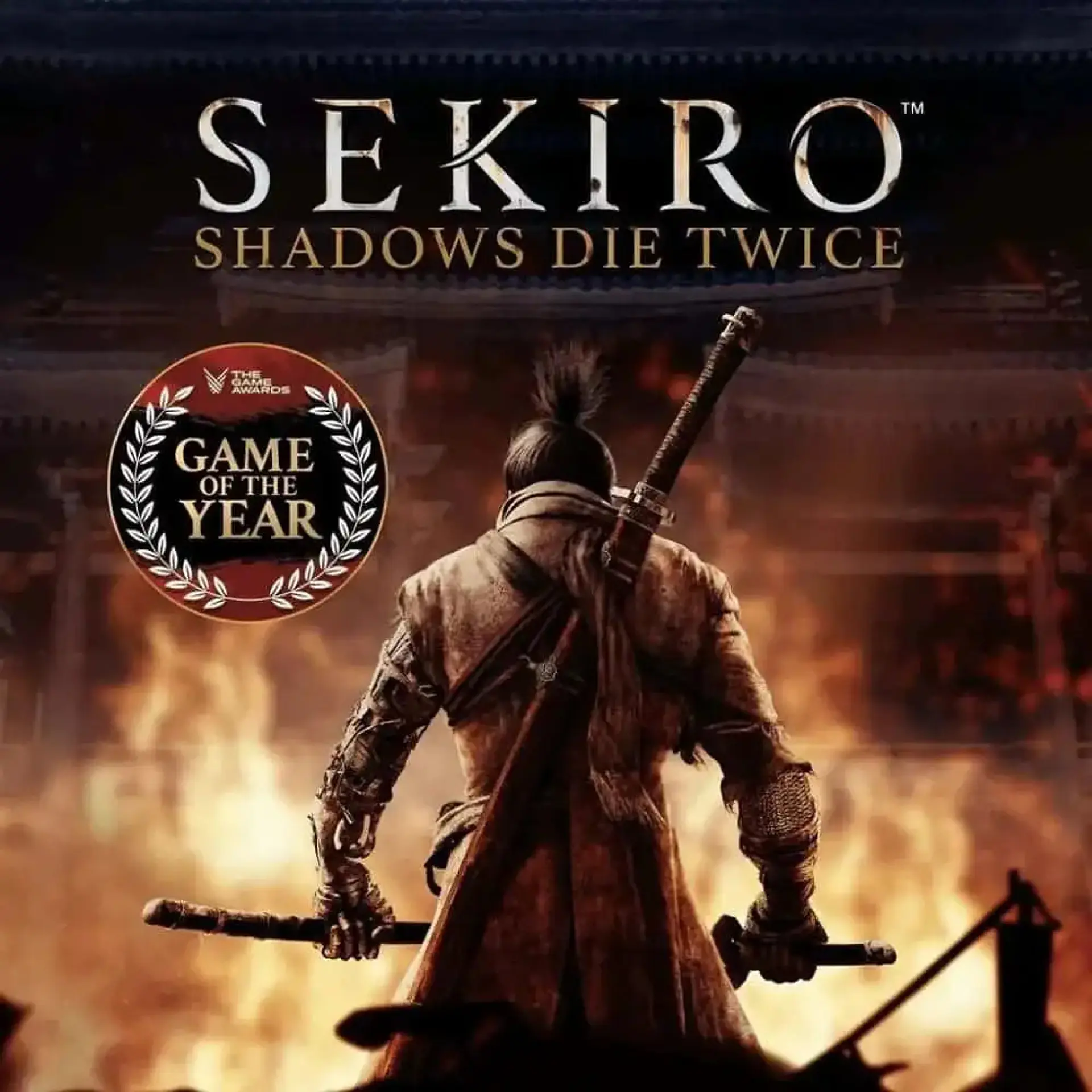 SEKIRO SHADOWS DIE TWICE 1