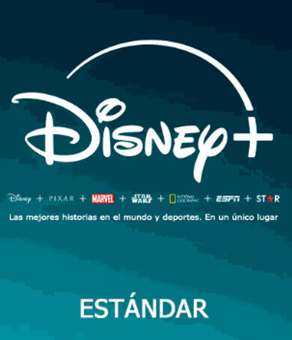 Disney Standar 1 MES 1