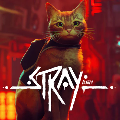STRAY STEAM PC