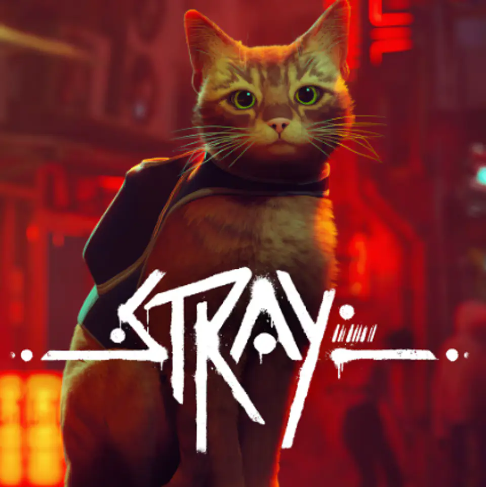 STRAY STEAM PC 1