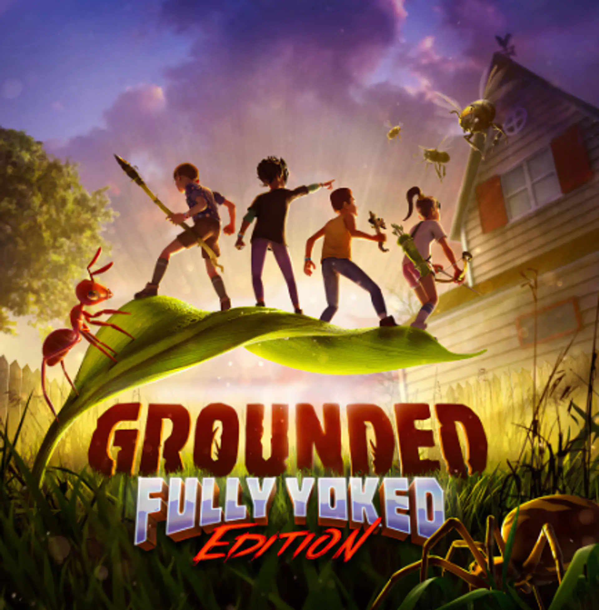 GROUNDED FULLY YOKED EDITIION STEAM  1