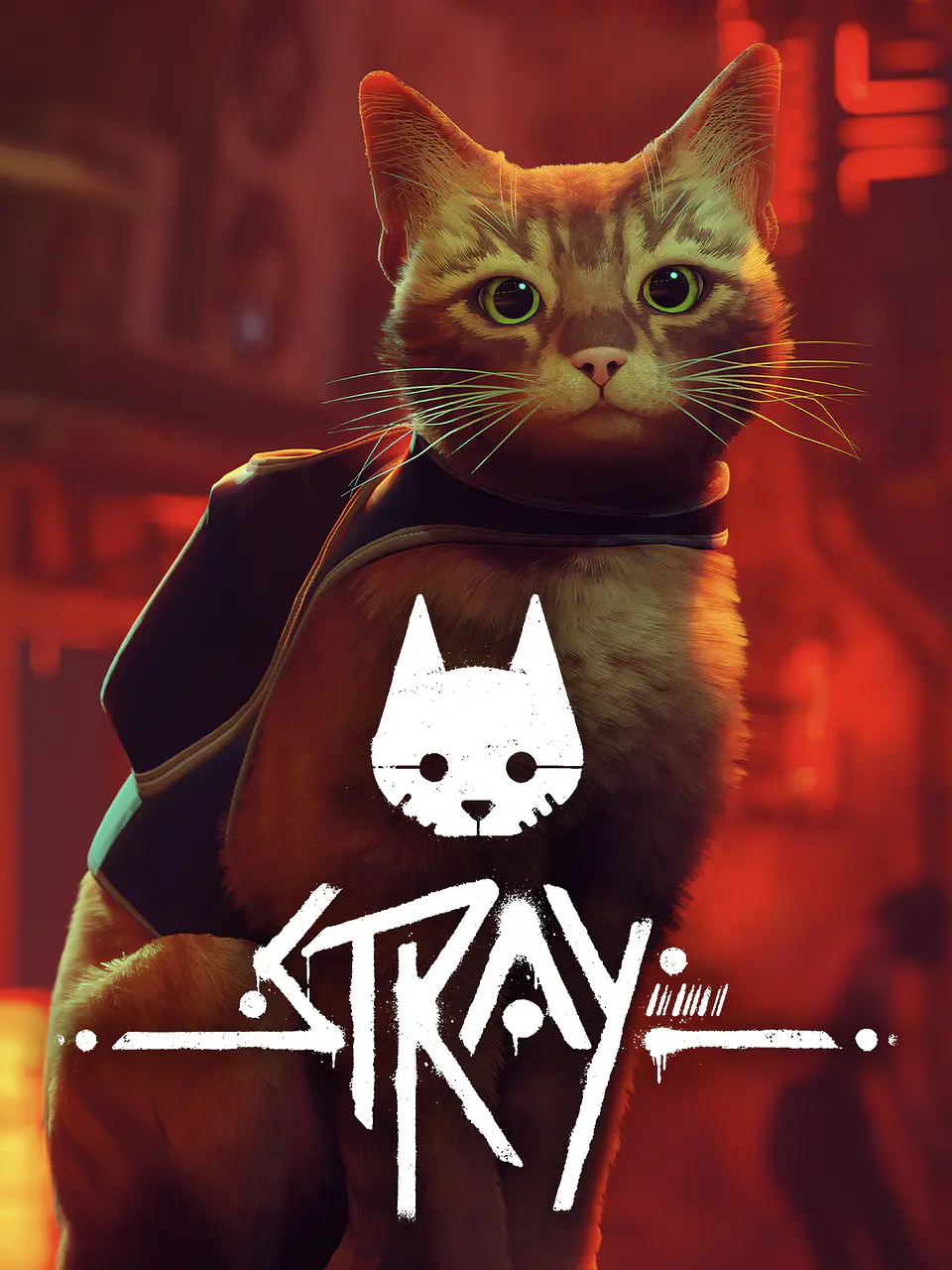 STRAY STEAM PC 1