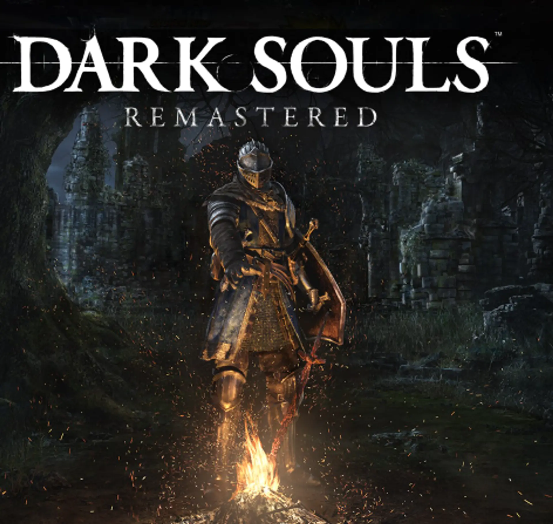DARK SOULS 1 STEAM PC  1