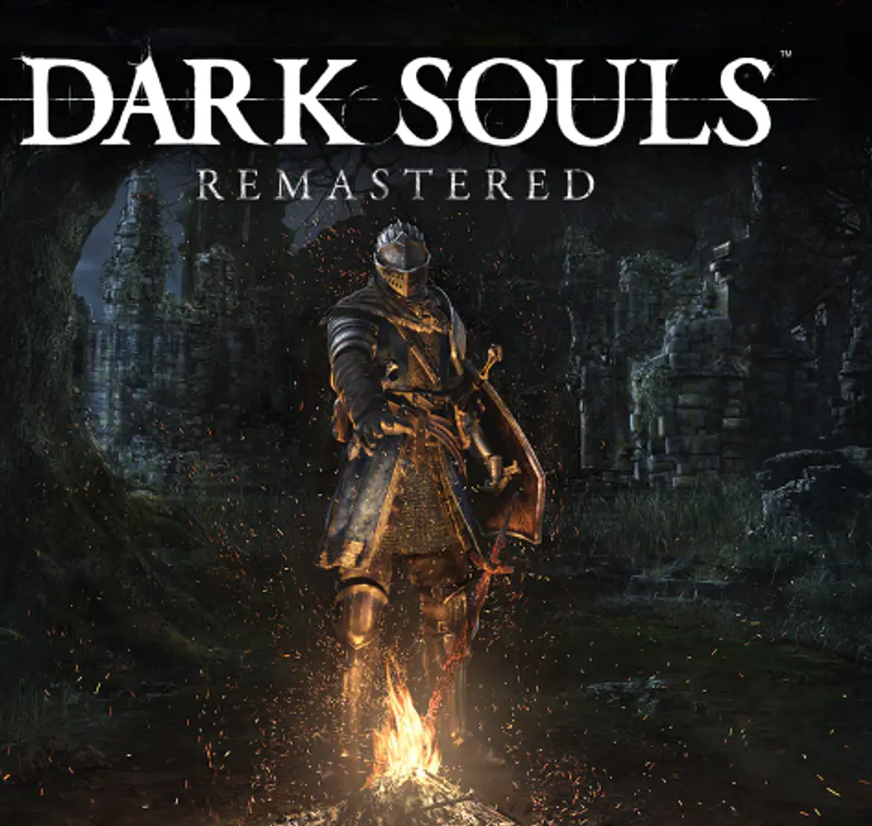 DARK SOULS 1 STEAM PC  1