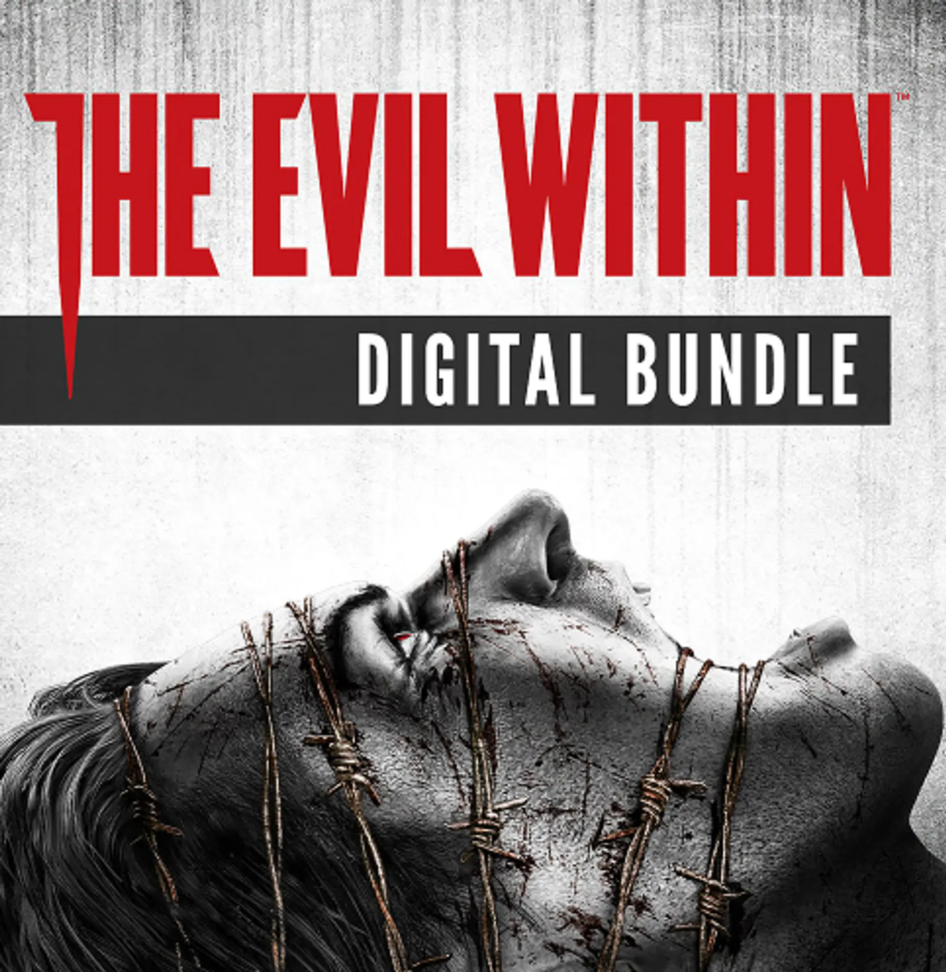 THE EVIL WHITIN 1 STEAM PC  1
