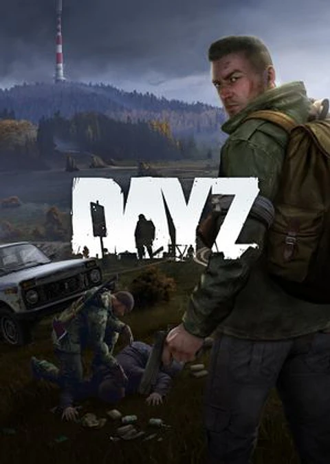 DAY Z STEAM KEY