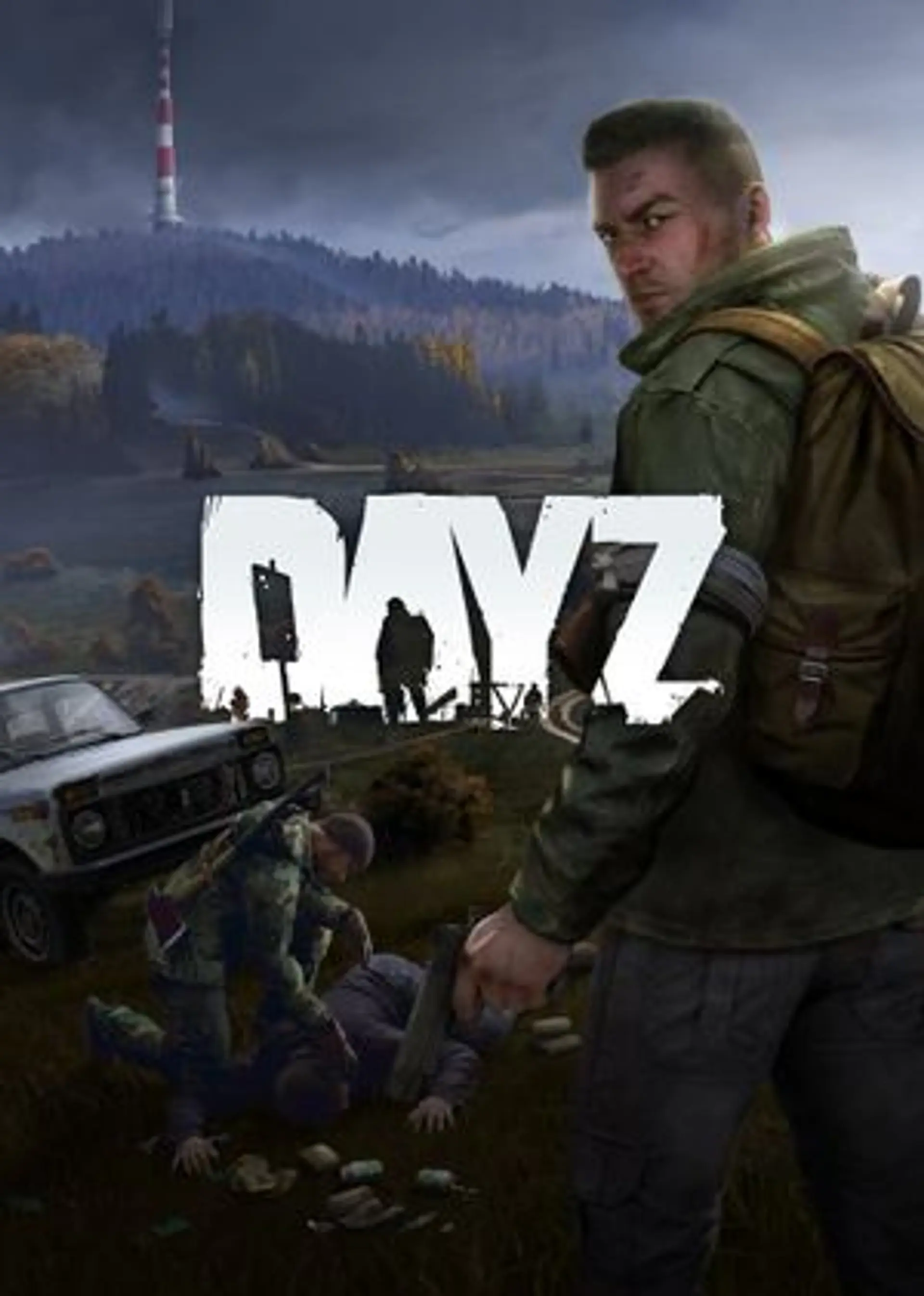 DAY Z STEAM KEY 1