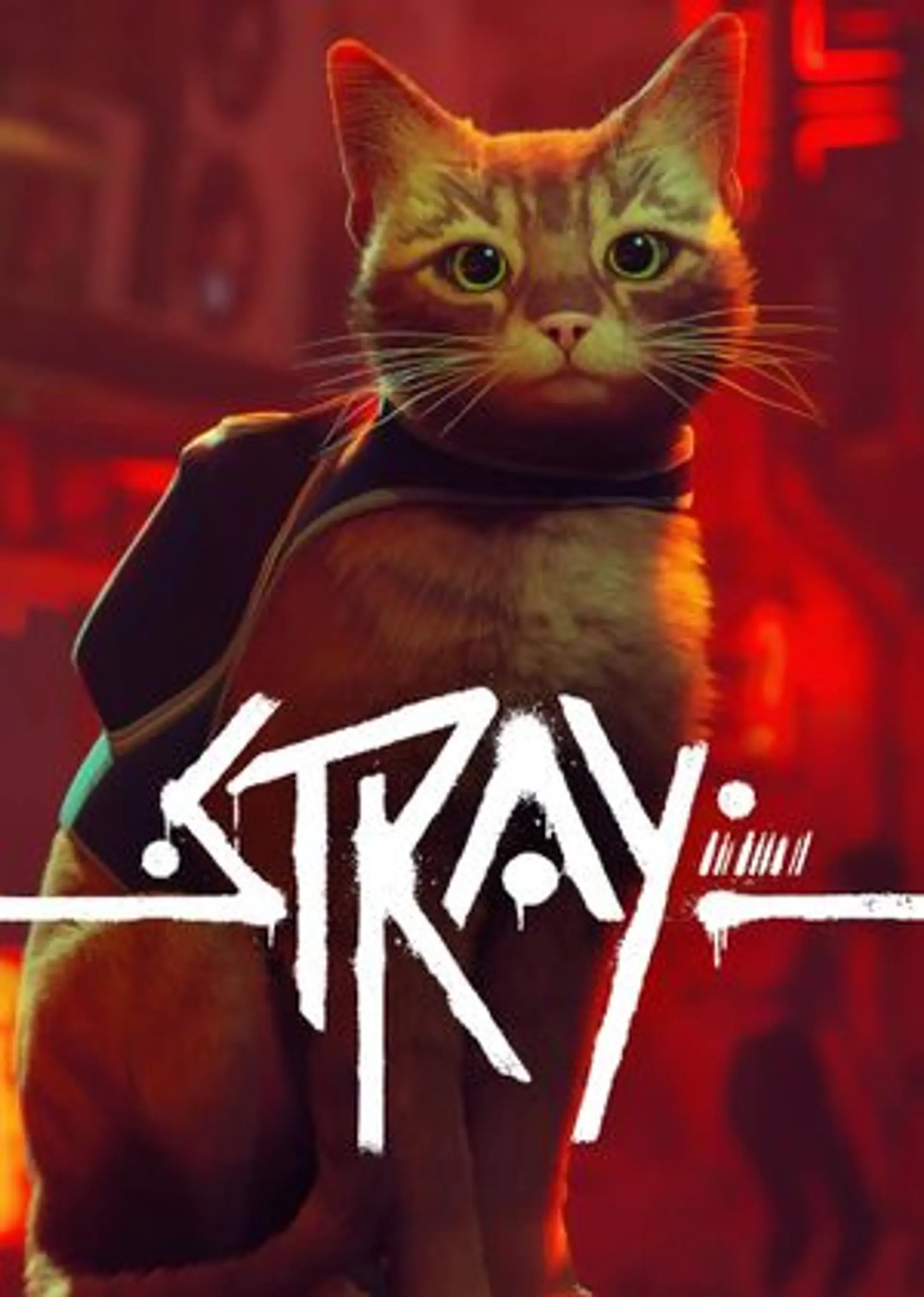 STRAY KEY PC  1