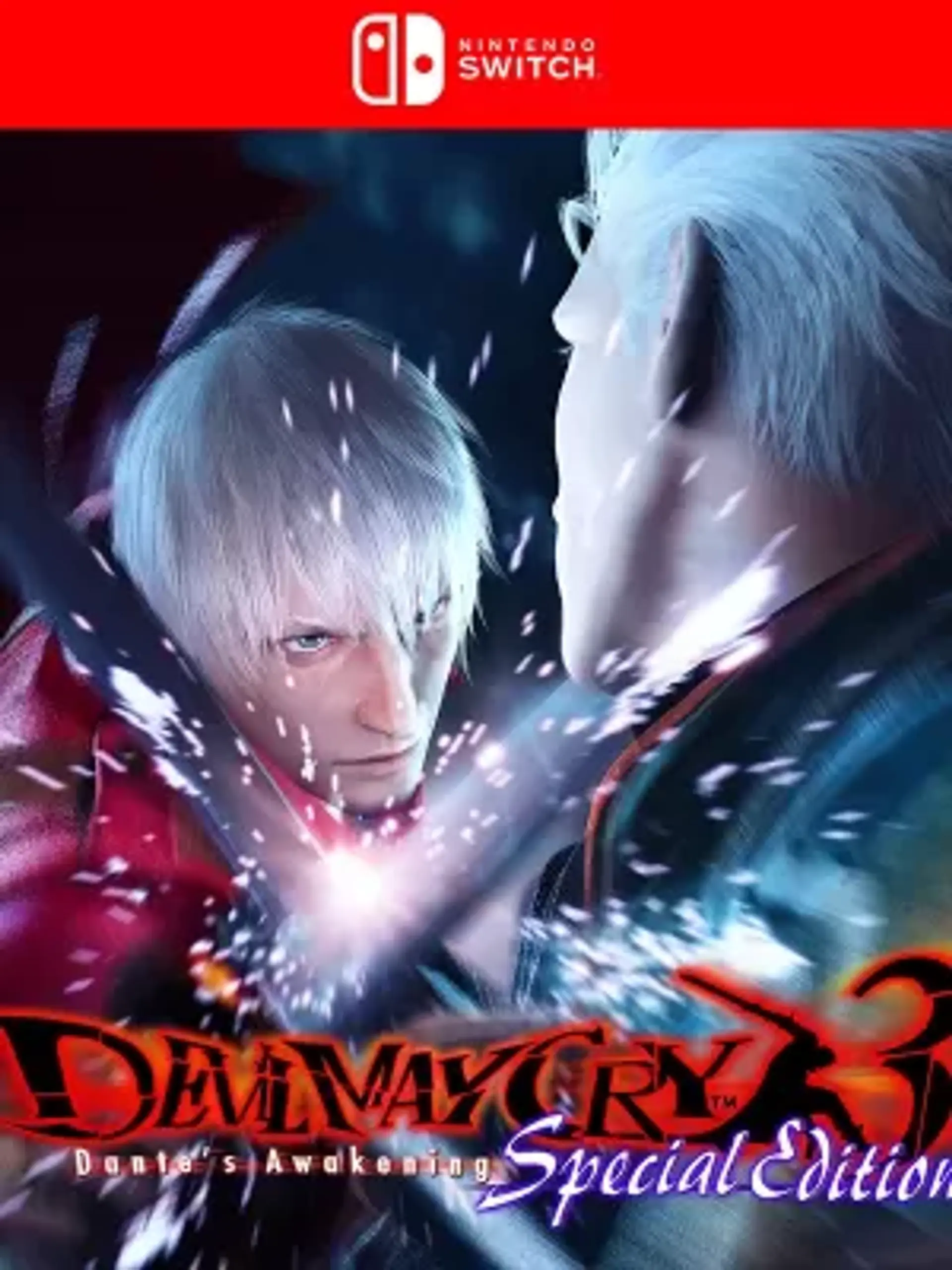 Devil May Cry 3 Special Edition 1