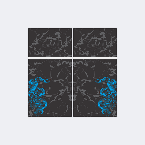 Camiseta Serpiente Celeste InterClasse 2024