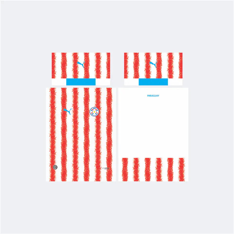 Camiseta Paraguay 2026 1