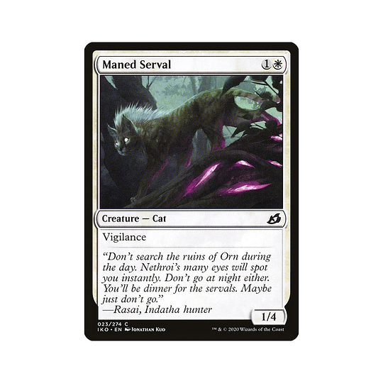 Maned Serval #023