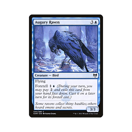 Augury Raven #044