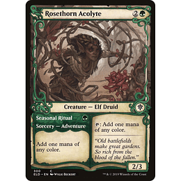 Rosethorn Acolyte // Seasonal Ritual #300