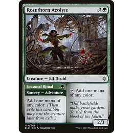 Rosethorn Acolyte // Seasonal Ritual #174