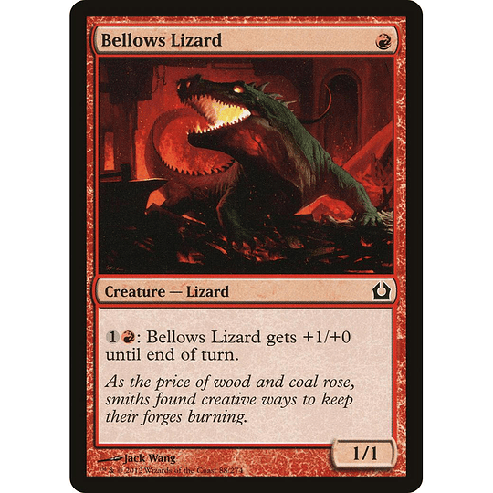 Bellows Lizard #088