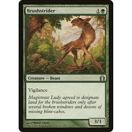 Brushstrider #117