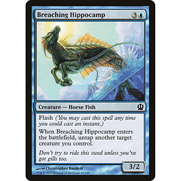 Breaching Hippocamp #043