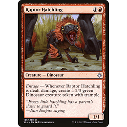 Raptor Hatchling #155