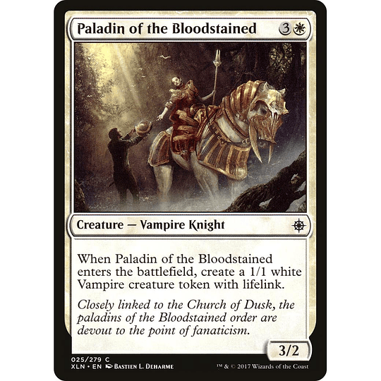 Paladin of the Bloodstained #025
