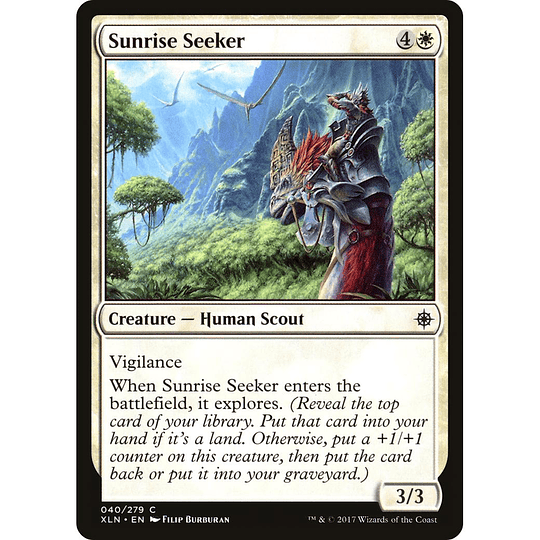 Sunrise Seeker #040