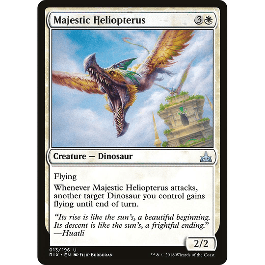 Majestic Heliopterus #013