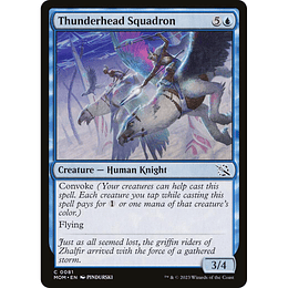 Thunderhead Squadron #081