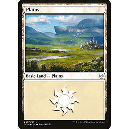 Plains #250