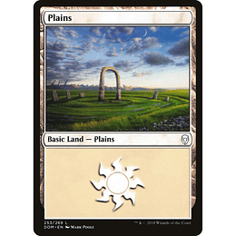 Plains #253