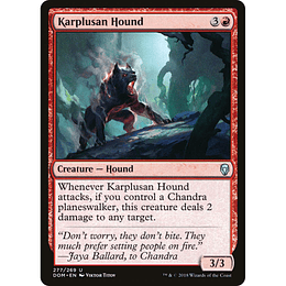 Karplusan Hound #277