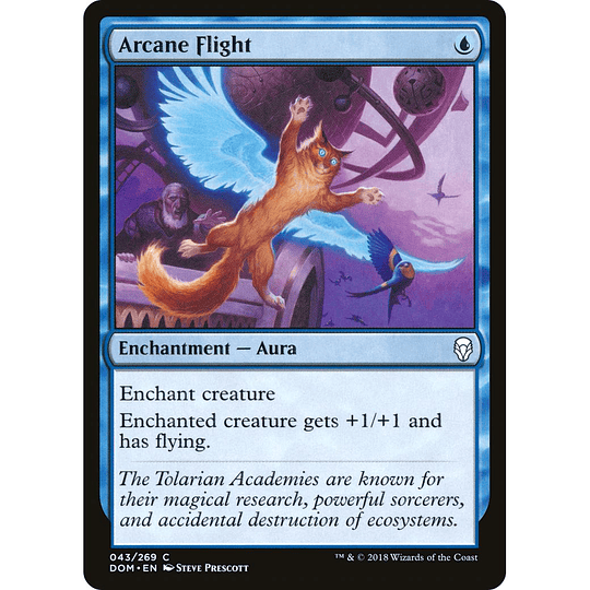 Arcane Flight #043