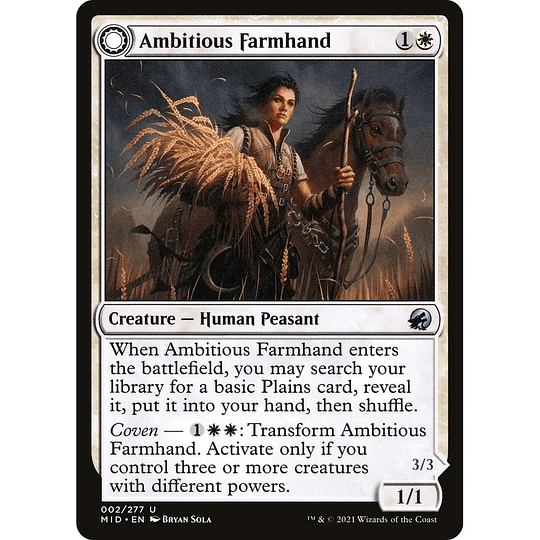 Ambitious Farmhand // Seasoned Cathar #002