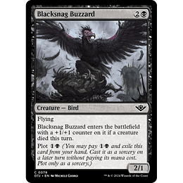 Blacksnag Buzzard #079