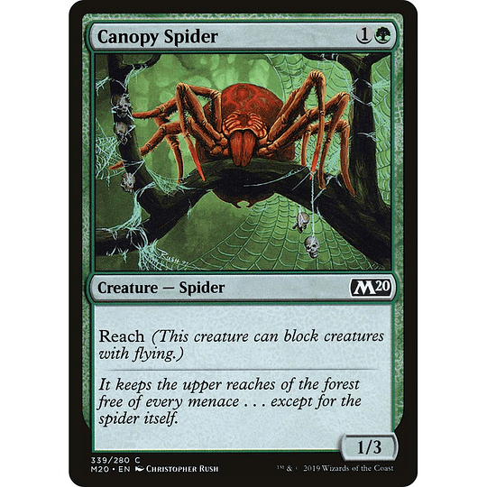 Canopy Spider #339