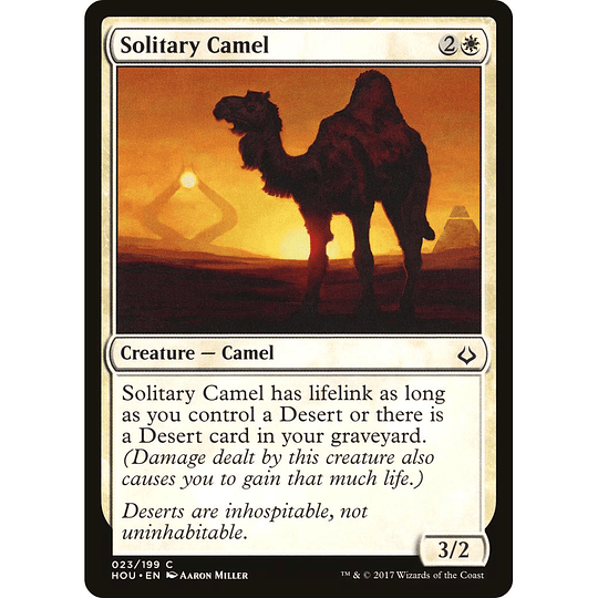 Solitary Camel #023