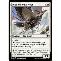 Pileated Provisioner #025