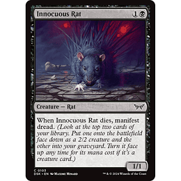 Innocuous Rat #103