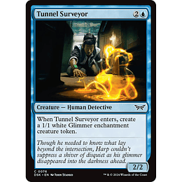 Tunnel Surveyor #076