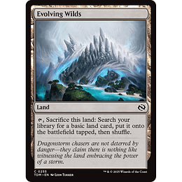 Evolving Wilds #255