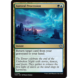 Auroral Procession #169