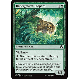 Undergrowth Leopard #165