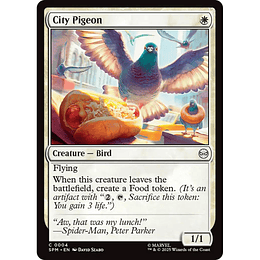 City Pigeon #004