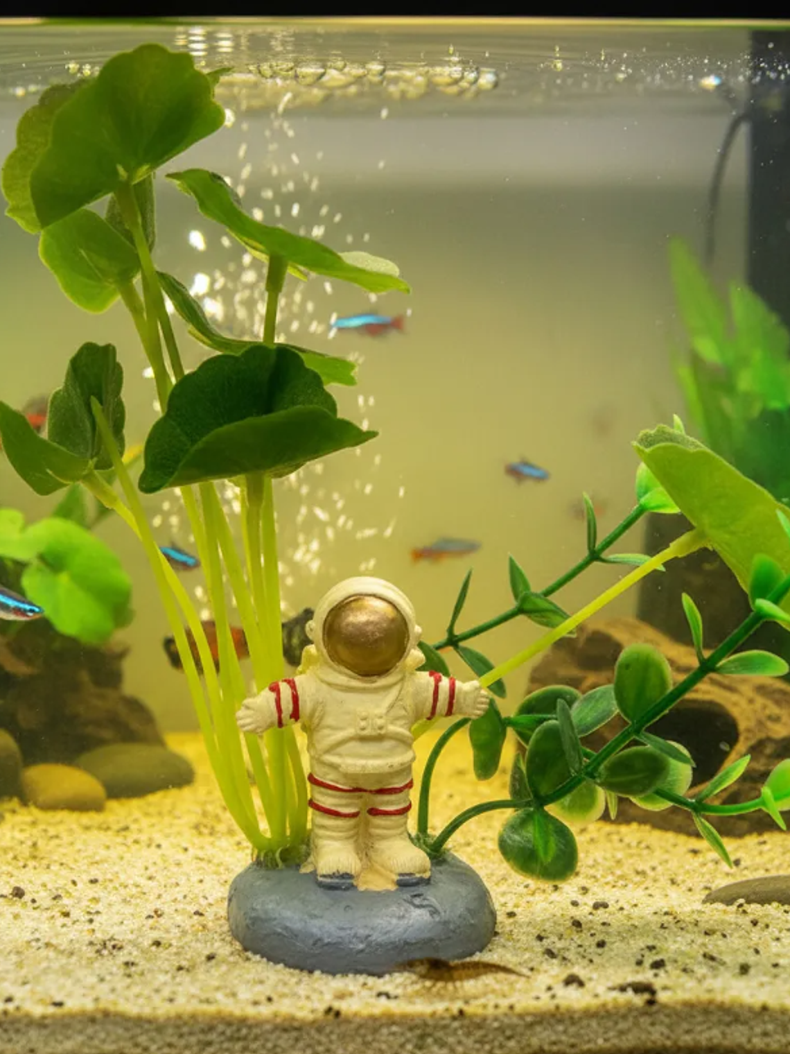 Plantas Artificial  3