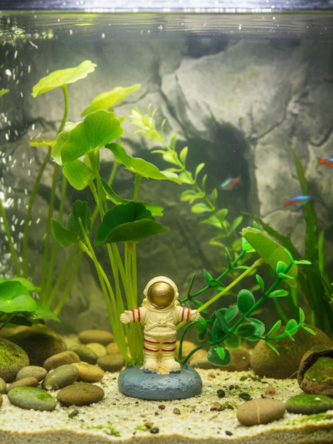 Plantas Artificial  6