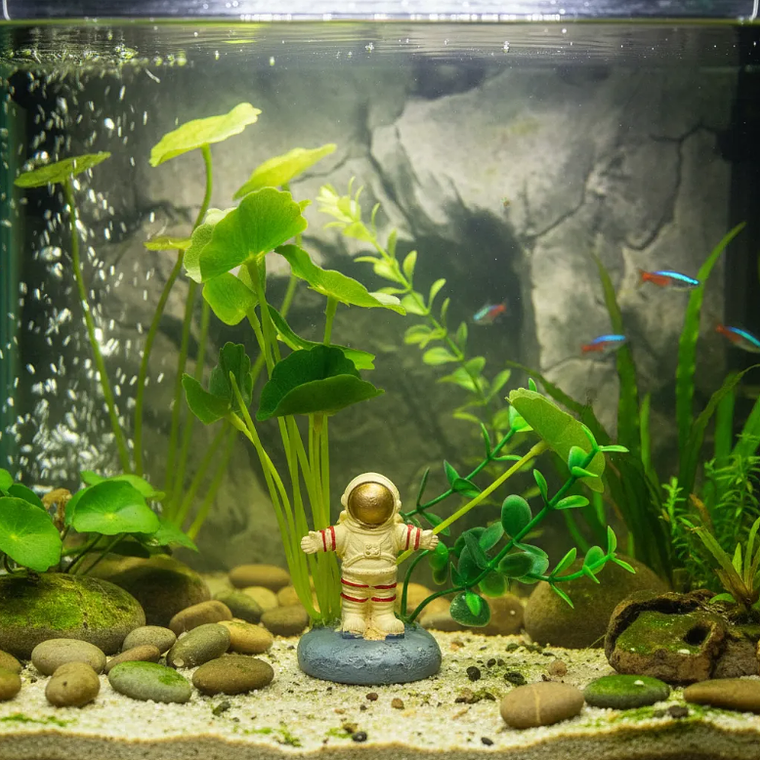 Plantas Artificial  6